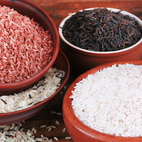 Rice
